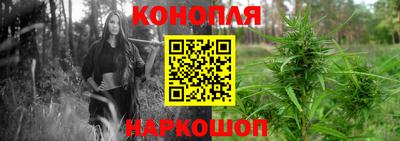 дмт Будённовск