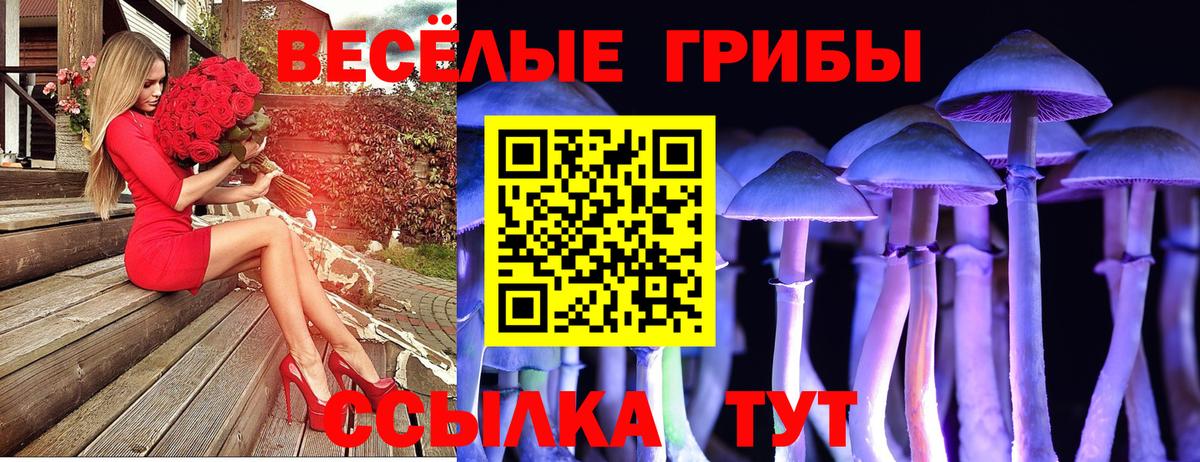 Галлюциногенные грибы ЛСД Нурлат